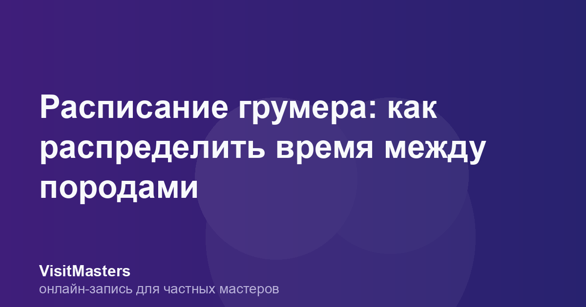 Расписание грумера: как распределить время между породами