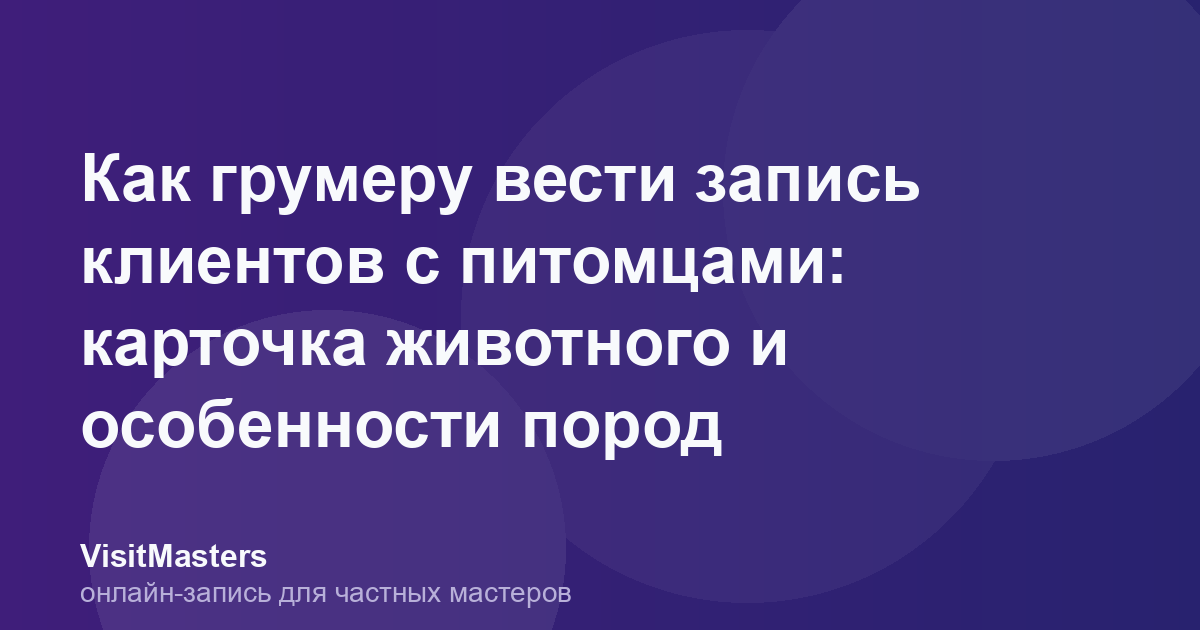 Как грумеру вести запись клиентов с питомцами: карточка животного и особенности пород