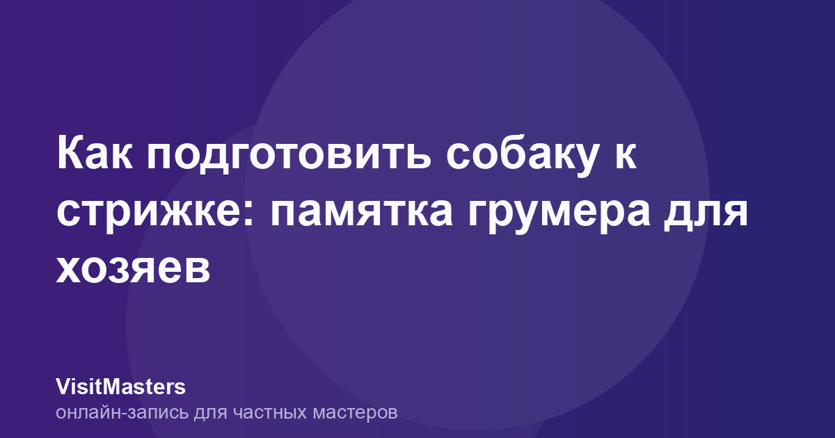 Как подготовить собаку к стрижке: памятка грумера для хозяев