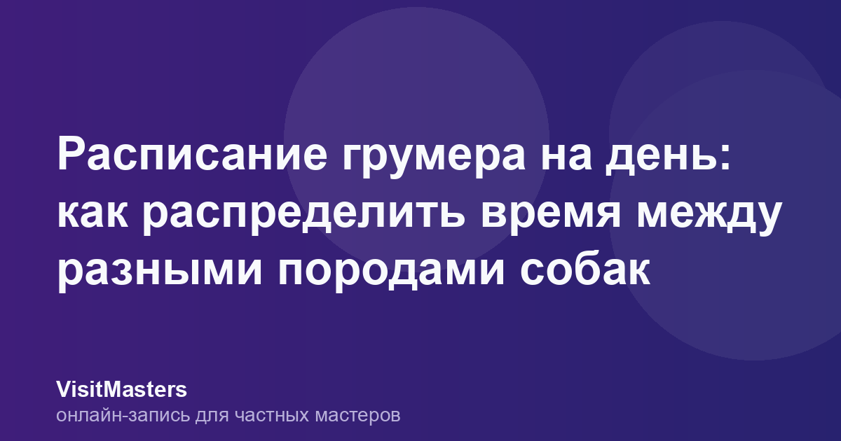 Расписание грумера на день: как распределить время между разными породами собак
