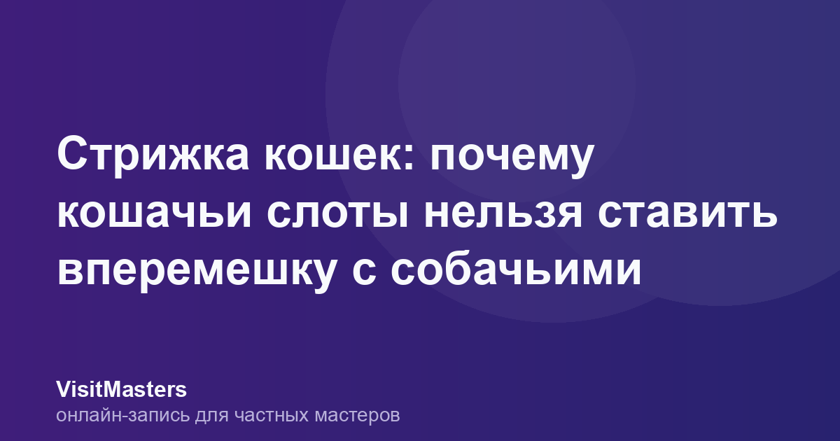 Стрижка кошек: почему кошачьи слоты нельзя ставить вперемешку с собачьими