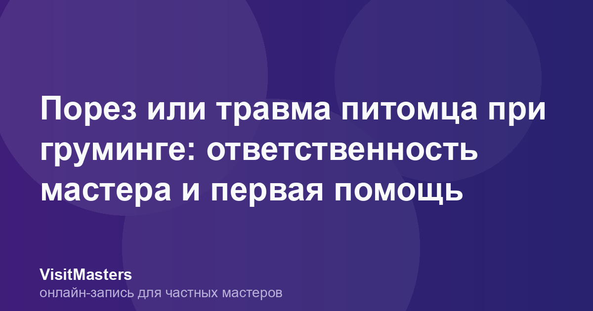Порез или травма питомца при груминге: ответственность мастера и первая помощь