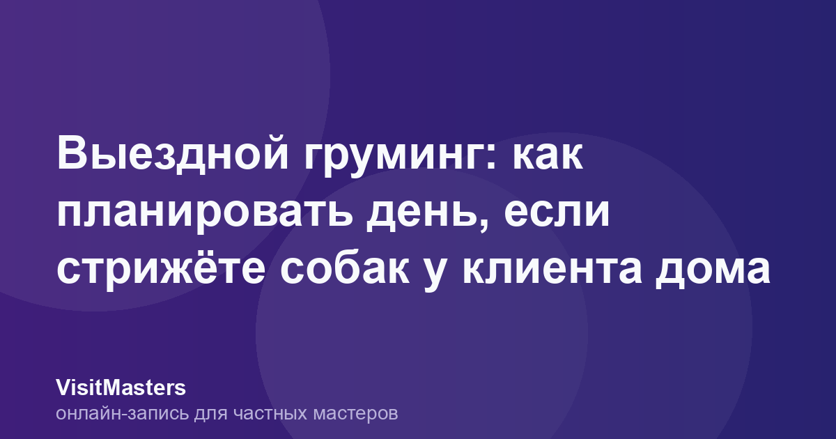 Выездной груминг: как планировать день, если стрижёте собак у клиента дома