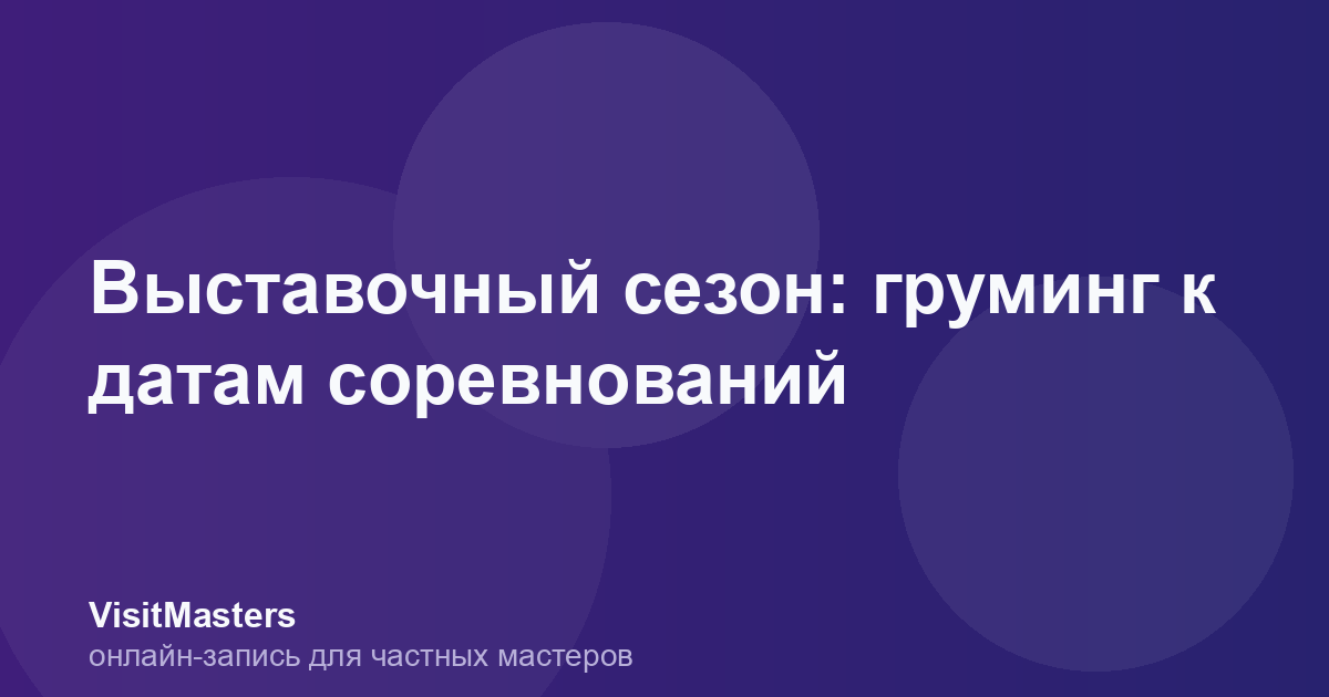 Выставочный сезон: груминг к датам соревнований