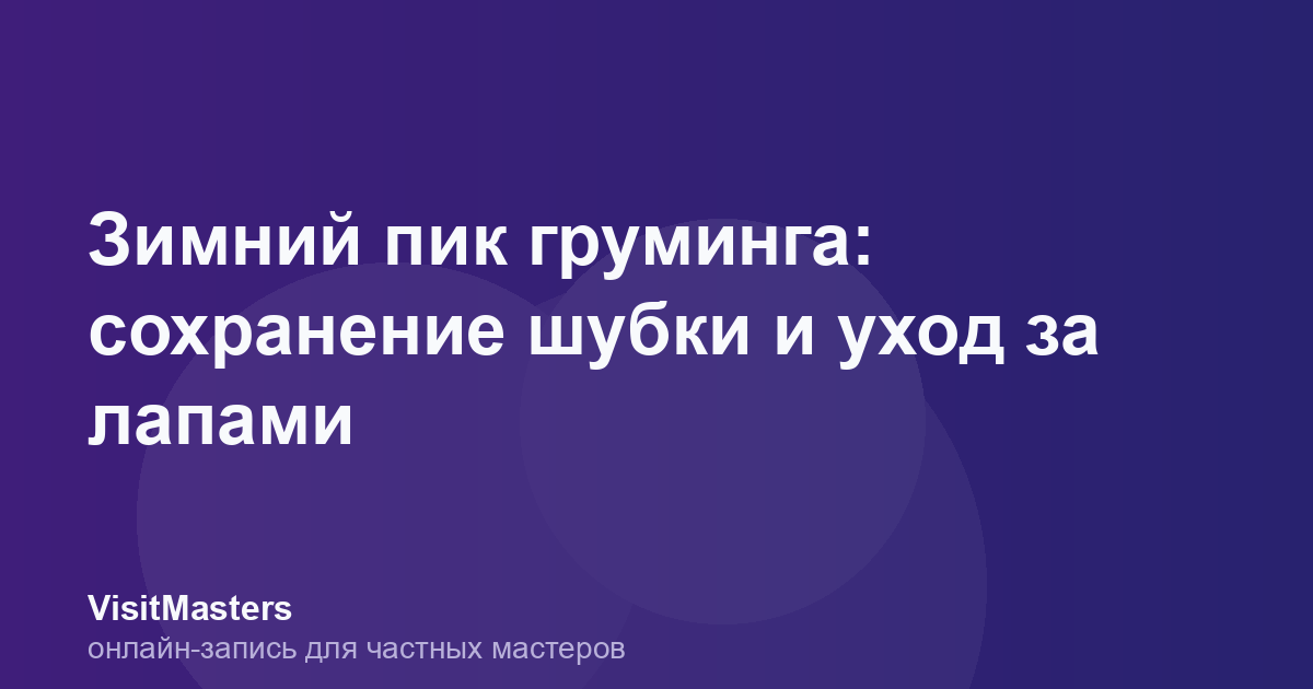 Зимний пик груминга: сохранение шубки и уход за лапами
