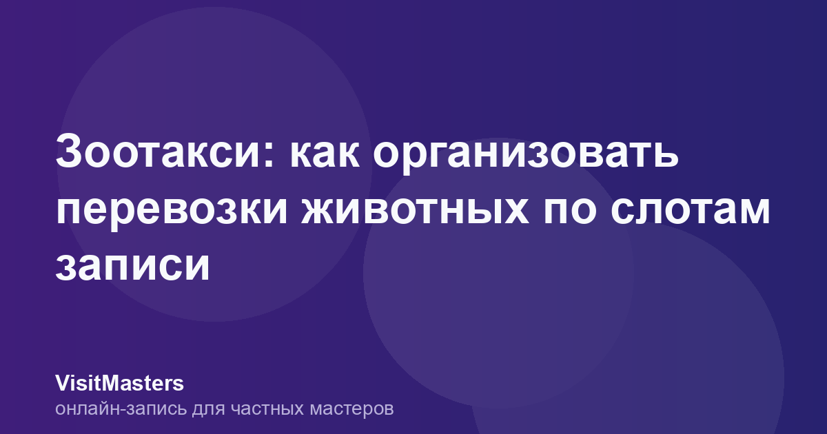 Зоотакси: как организовать перевозки животных по слотам записи